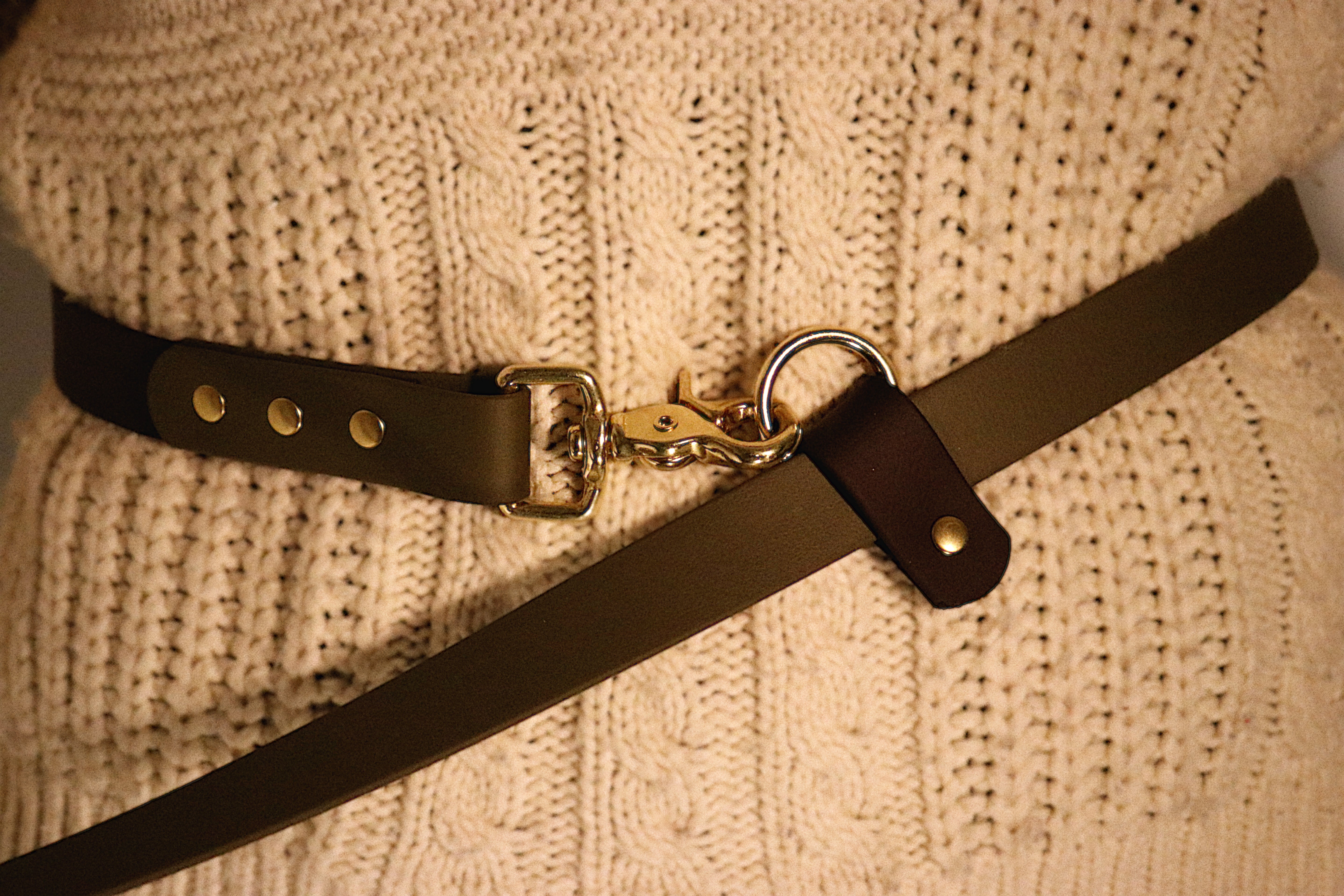 Biothane Hands-Free Leash