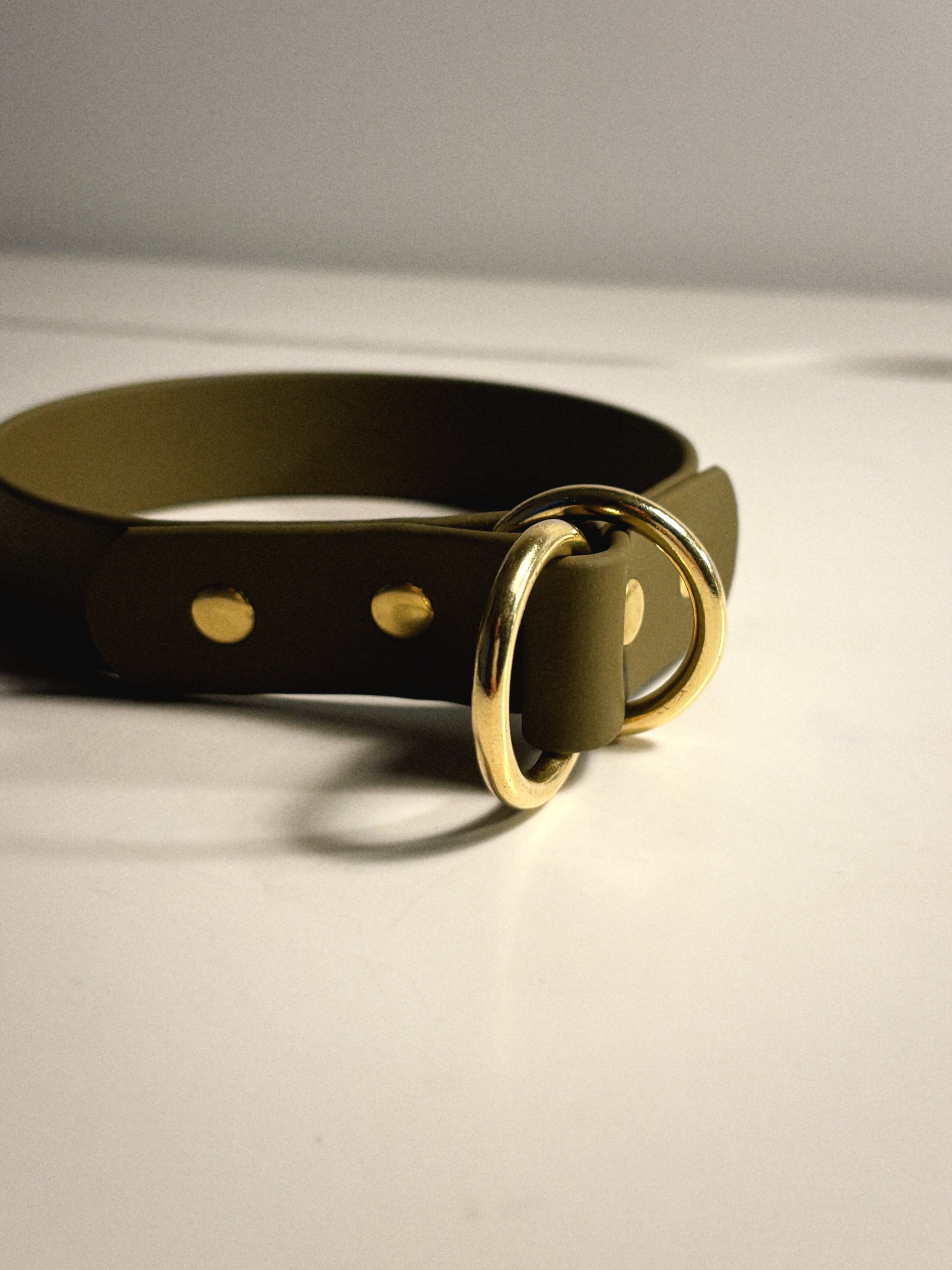 Biothane Slip-On Collar