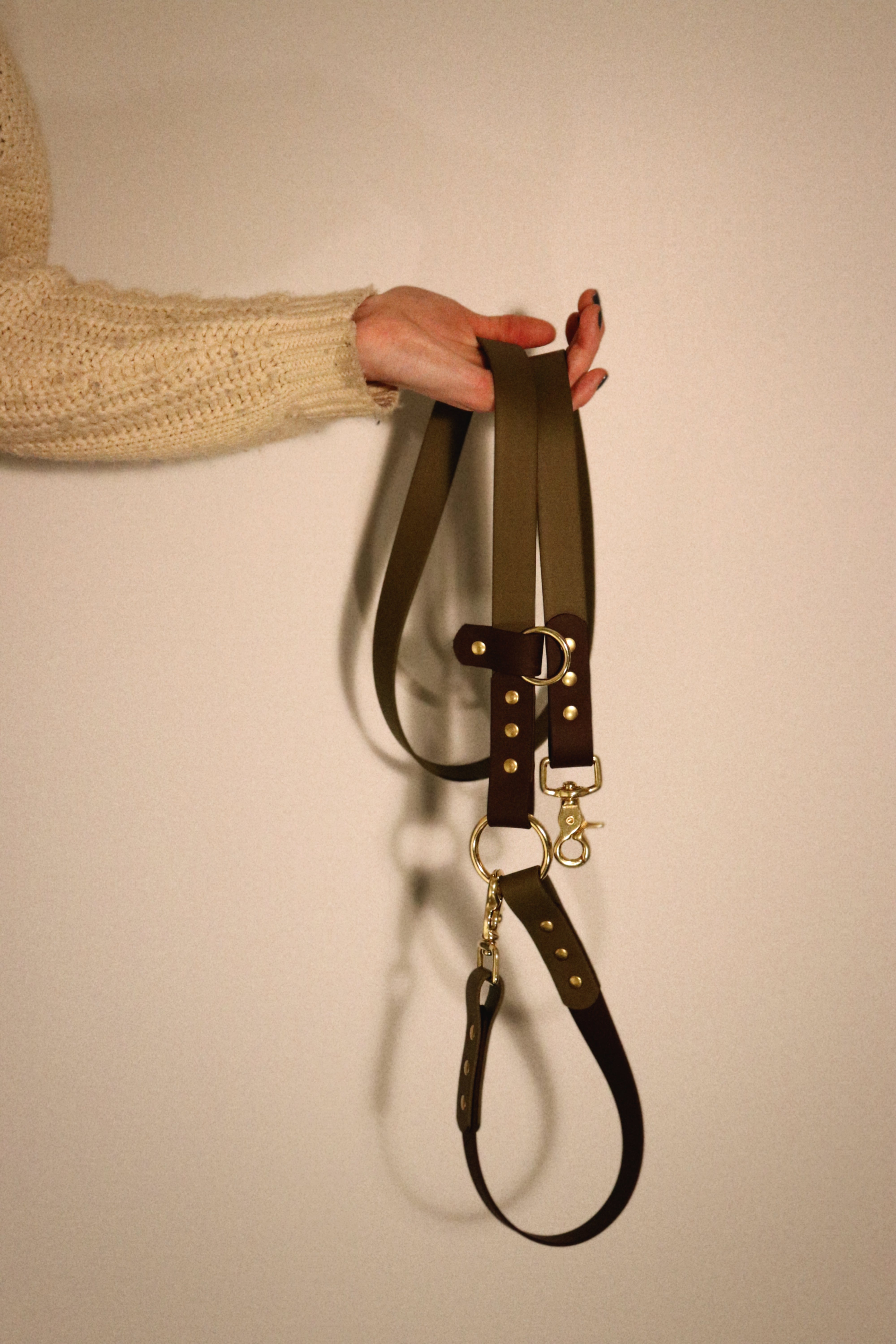 Biothane Hands-Free Leash