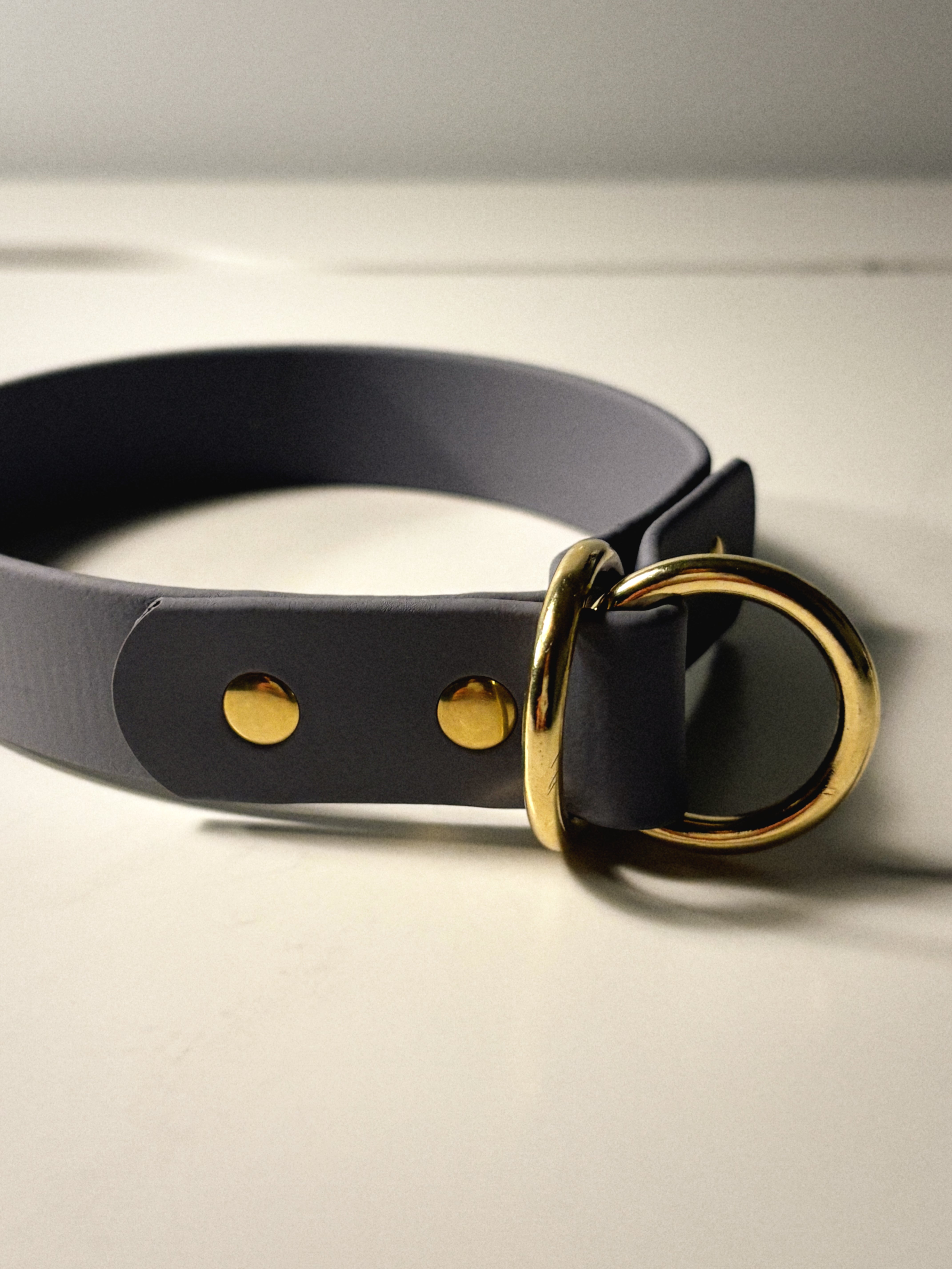 Biothane Slip-On Collar